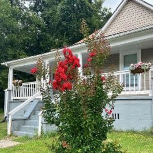 Meet your Posher, Noah